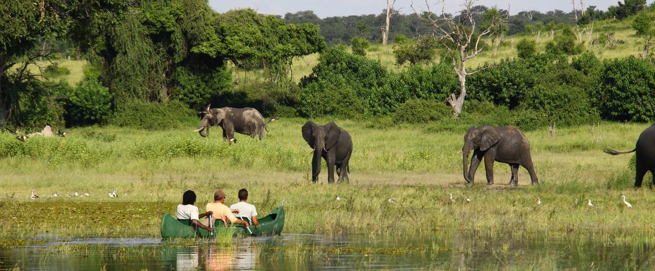 Chobe River Camp Ngoma Dış mekan fotoğraf
